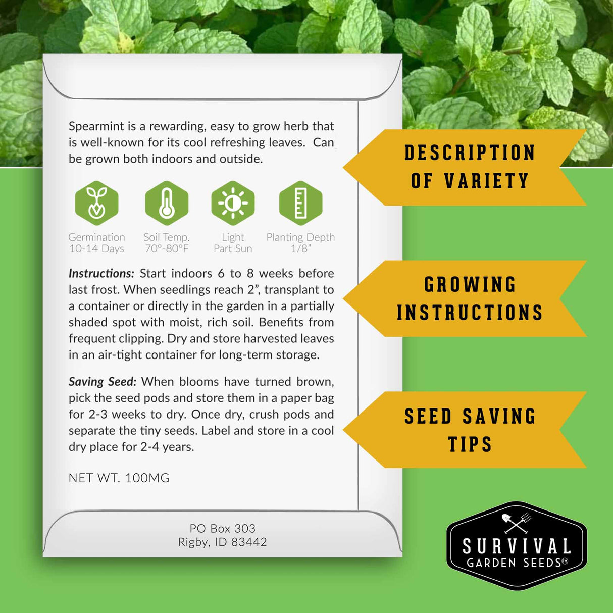 Spearmint seed packet with growing instructions and tips on a green leafy background