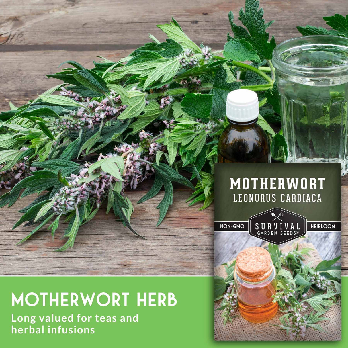 Motherwort herb on a wooden table