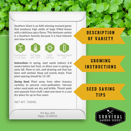 Seed packet for Southern Giant mustard green with growing instructions and tips on a green background.
