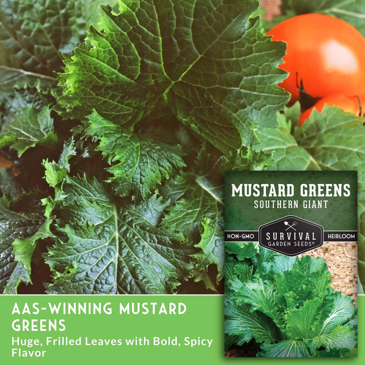 Mustard greens with a label for 'Southern Giant' variety and 'Survival Garden Seeds'.