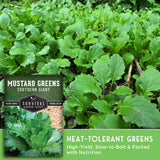 Mustard greens with a seed packet labeled 'Southern Giant' on a green background