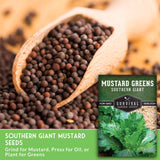 Mustard seeds in a bag with a label for 'Southern Giant Mustard Seeds' from Survival Garden Seeds.