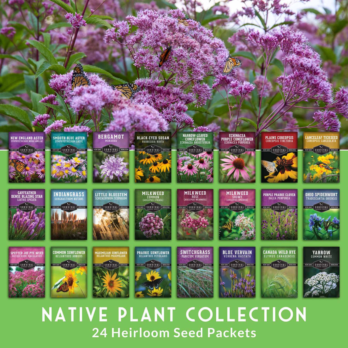 Collection of native plant seed packets with flowers in the background on a green background