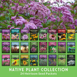 Collection of native plant seed packets with flowers in the background on a green background