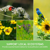 Collage of nature images including flowers, a butterfly, and a bird with text 'Support Local Ecosystems'.
