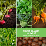 Collage of various vegetables with text 'Short Season Harvest' on a green background.
