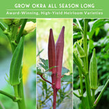 Collage of okra plants with text about growing okra all season long.