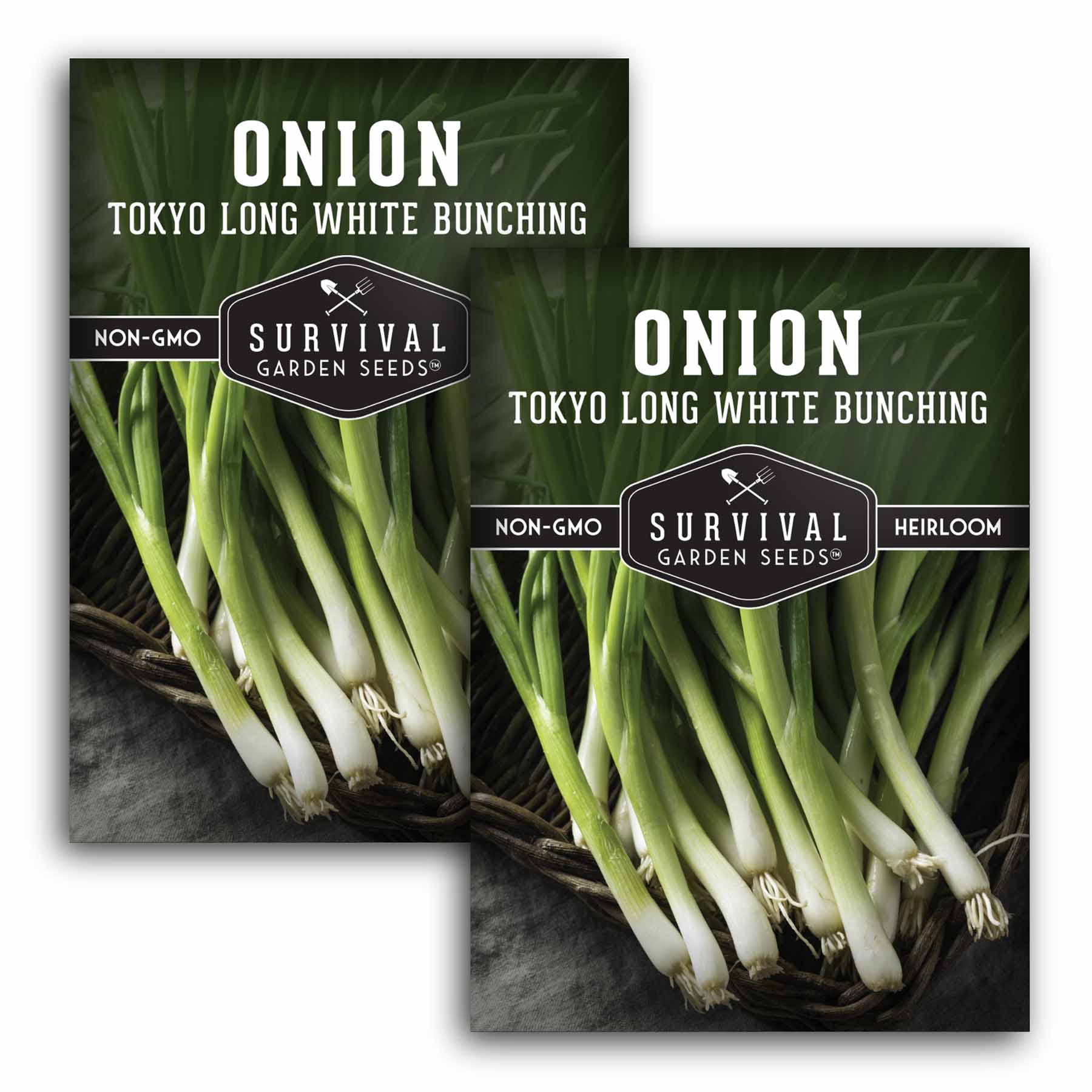 Survival Garden Seeds Tokyo Long White Bunching Onion Seeds - Thumbnail 2