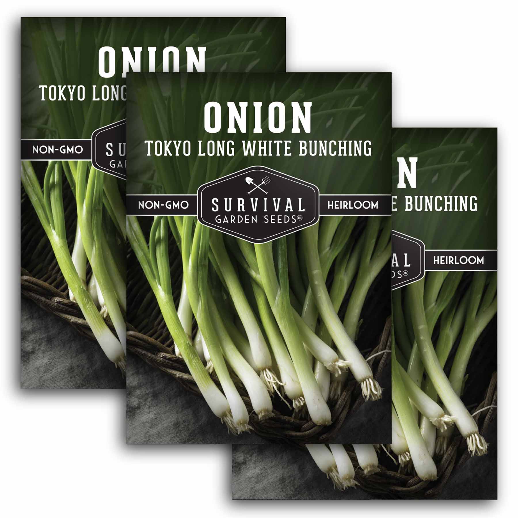 Survival Garden Seeds Tokyo Long White Bunching Onion Seeds - Thumbnail 5
