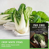 Fresh pak choi canton white stem vegetables arranged on a light surface with a folded cloth, alongside a seed packet labeled Survival Garden Seeds Pak Choi Canton White Stem.