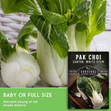 Fresh pak Choi Canton white stem vegetables with green leaves and pale white heads, shown alongside a seed packet labeled 'Pak Choi Canton White Stem' and text reading 'Baby or Full Size' and 'Harvest young or let heads mature.'.