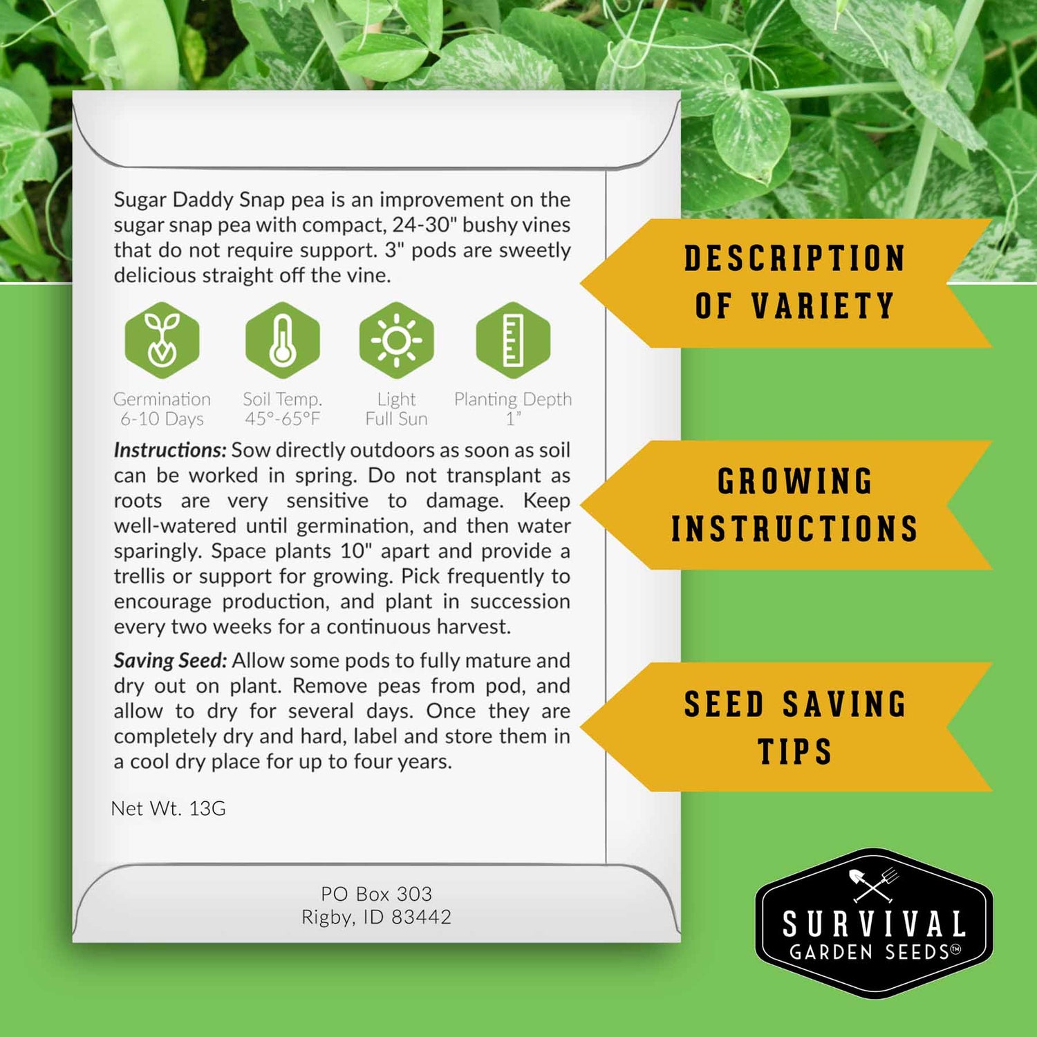pea seed planting depth Sugar Pea Seed Collection – Oregon Sugar Pod II & Sugar Daddy Snap Peas for Crisp, Sweet Cool-Season Harvests