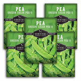 Five packages of Survival Garden Seeds Pea Oregon Sugar Pod II on a white background