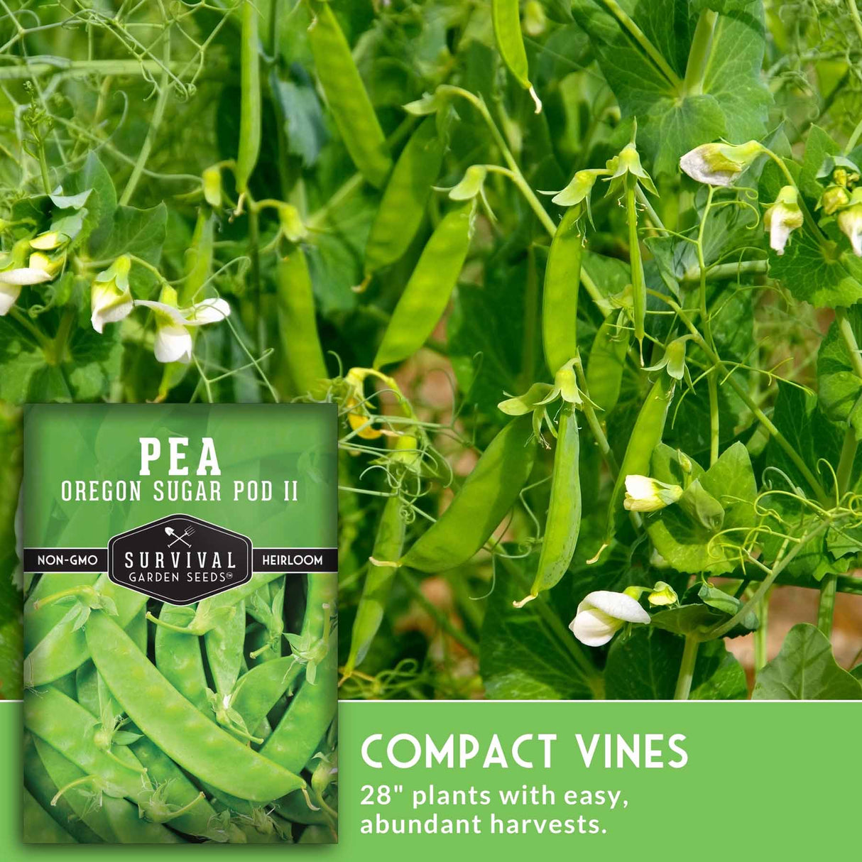Survival Garden Seeds pea package with green peas and leaves in the background
