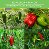 Collage of green and red peppers growing on plants with text 'Homegrown Flavor' and 'Perfect for fresh use, drying, or pickling.'.