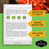 Big Red Pepper seed packet with growing instructions and seed saving information
