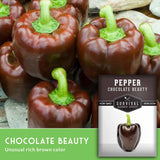 Chocolate Beauty peppers with a seed packet labeled 'Survival Garden Seeds' on a wooden surface.