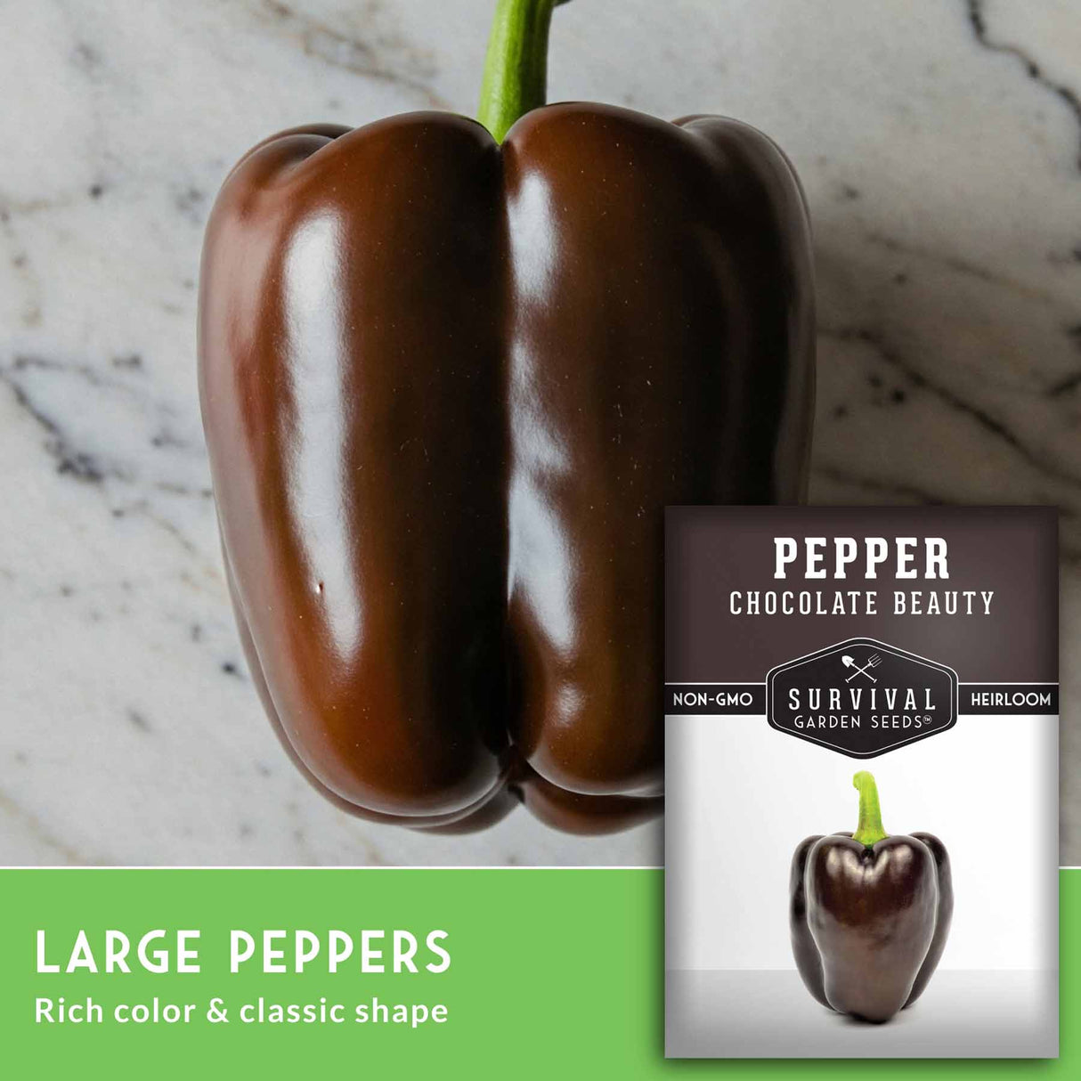 Chocolate beauty pepper with a seed packet on a marble background
