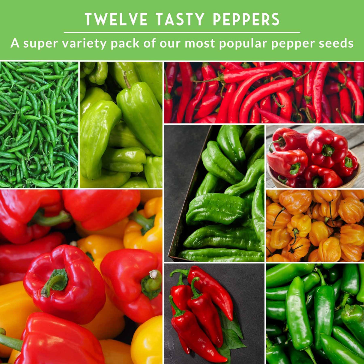 Collage of various types of peppers with text 'Twelve Tasty Peppers' on a green background.