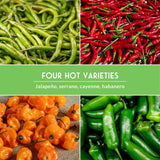 Collage of four types of hot peppers with a green banner displaying 'Four Hot Varieties' and pepper names.