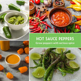Collage of hot sauce ingredients including peppers, sauces, and limes with text overlay.