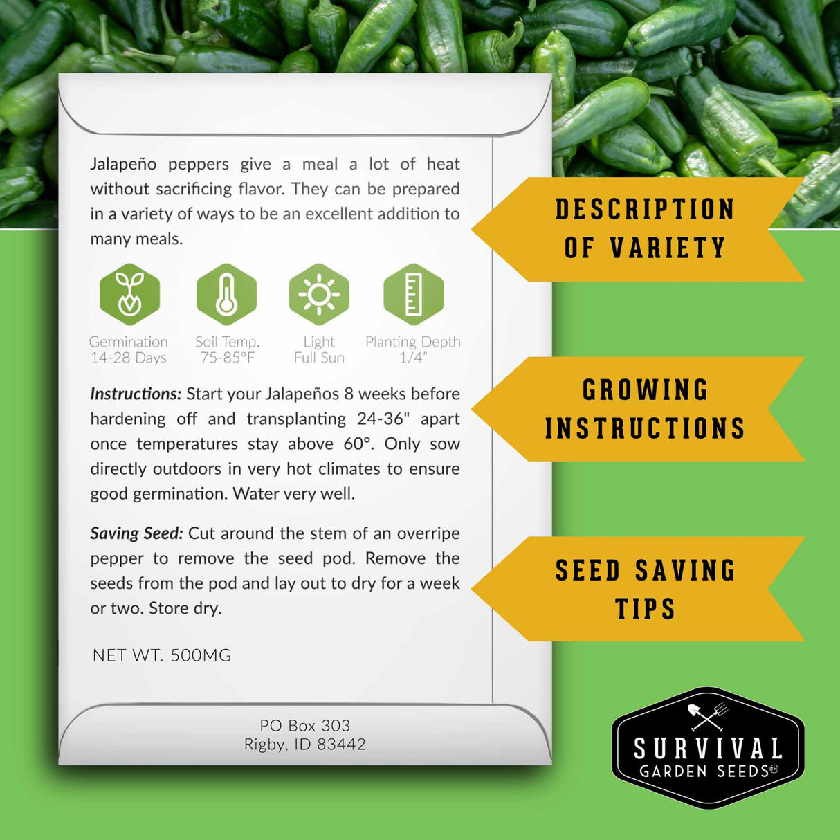 Jalapeno pepper seed packet with growing instructions on a green background