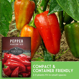 Red peppers growing on a plant with a 'Survival Garden Seeds' package of Marconi Red peppers.