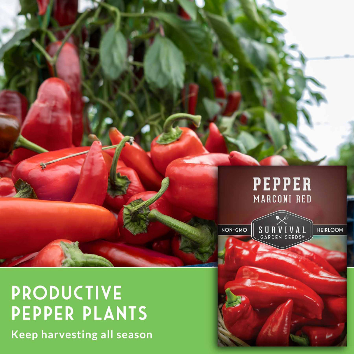 Red peppers on a plant with a 'Survival Garden Seeds' package in the corner.