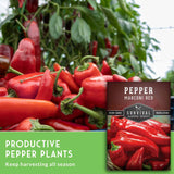 Red peppers on a plant with a 'Survival Garden Seeds' package in the corner.