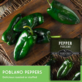 Poblano peppers on a wooden cutting board with a seed packet labeled 'Pepper Poblano' from Survival Garden Seeds.
