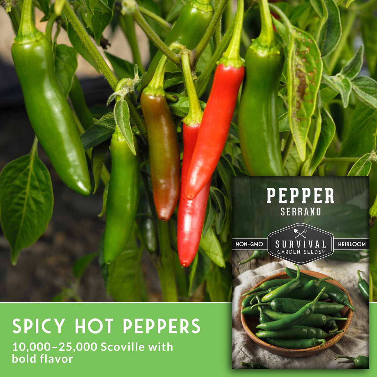 Spicy hot peppers with a package labeled 'Survival Garden Seeds' on a green background
