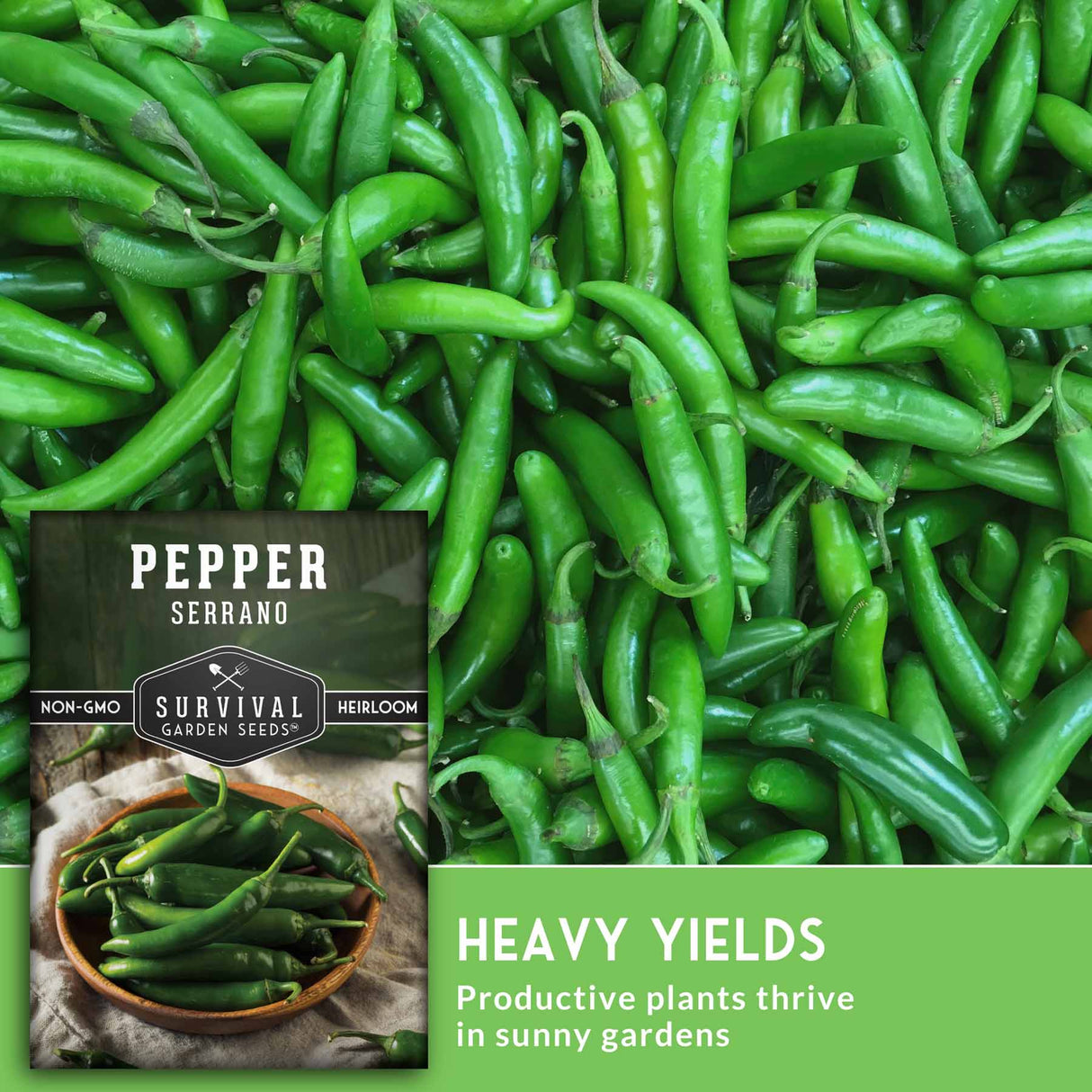 Serrano pepper seeds package with a close-up of green Serrano peppers.