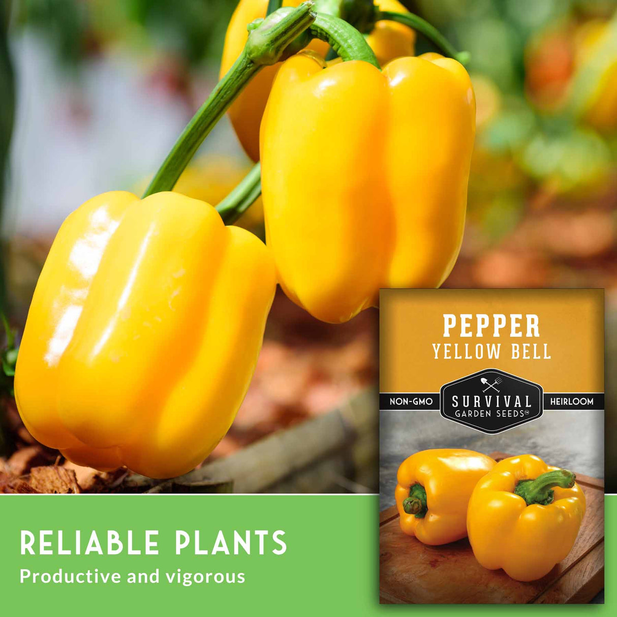 Yellow bell peppers with a seed packet labeled 'Pepper Yellow Bell' on a blurred natural background.