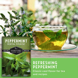 Glass mug of peppermint tea with a packet of Survival Garden Seeds peppermint seeds on a wooden surface.