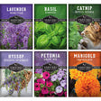 Six seed packet designs arranged in a 2x3 grid, each showing a different herb or flower variety: lavender, basil, catnip, hyssop, petunia, and marigold. Each packet includes the Survival Garden Seeds branding and a photo of the plant or flower.