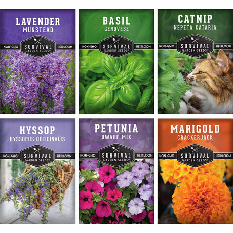 Six seed packet designs arranged in a 2x3 grid, each showing a different herb or flower variety: lavender, basil, catnip, hyssop, petunia, and marigold. Each packet includes the Survival Garden Seeds branding and a photo of the plant or flower.