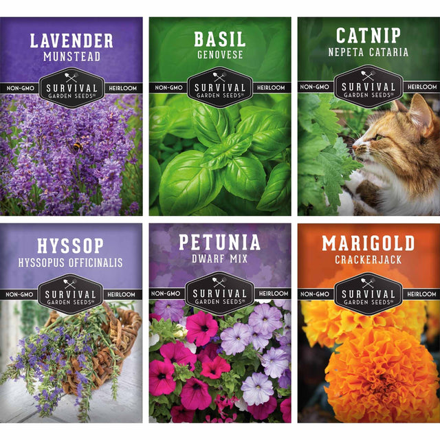 Six seed packet designs arranged in a 2x3 grid, each showing a different herb or flower variety: lavender, basil, catnip, hyssop, petunia, and marigold. Each packet includes the Survival Garden Seeds branding and a photo of the plant or flower.