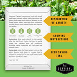 Survival Garden Seeds packaging with text on a green background