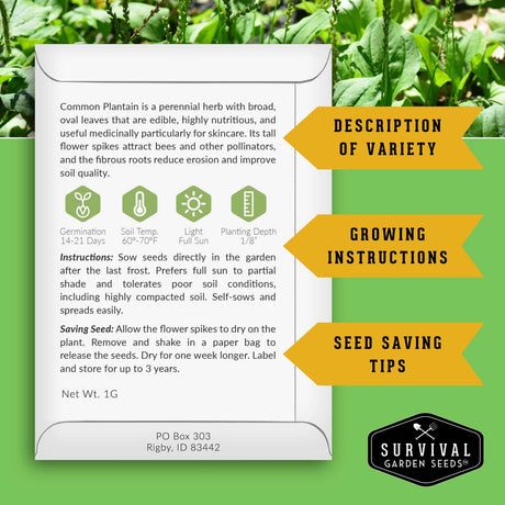 Survival Garden Seeds packaging with text on a green background