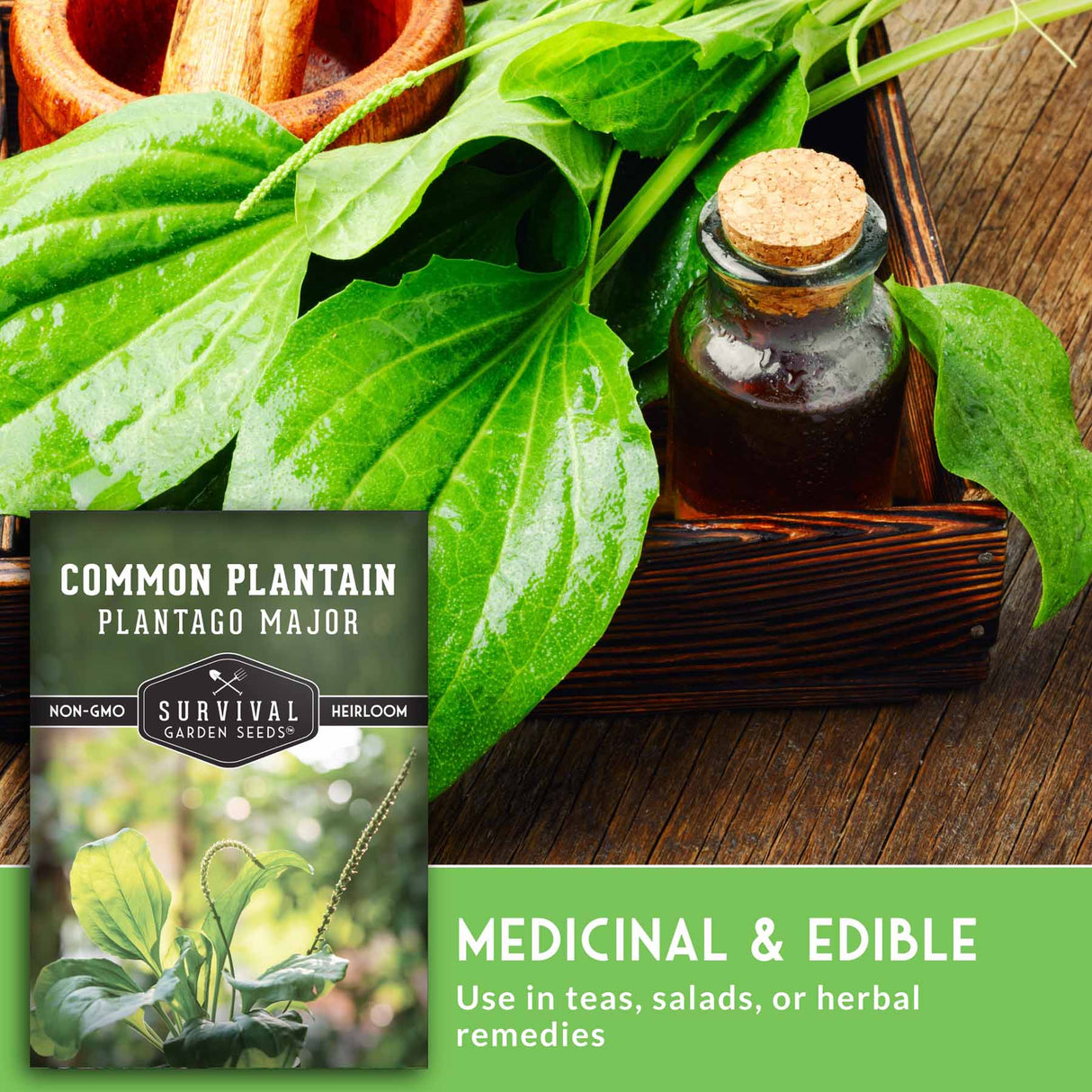 Survival Garden Seeds Common Plantain package with plant leaves and a bottle on a wooden background