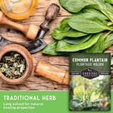 Herbal items including a wooden pestle, mortar, and fresh green leaves on a wooden surface with a 'Survival Garden Seeds' common plantain seed packet.