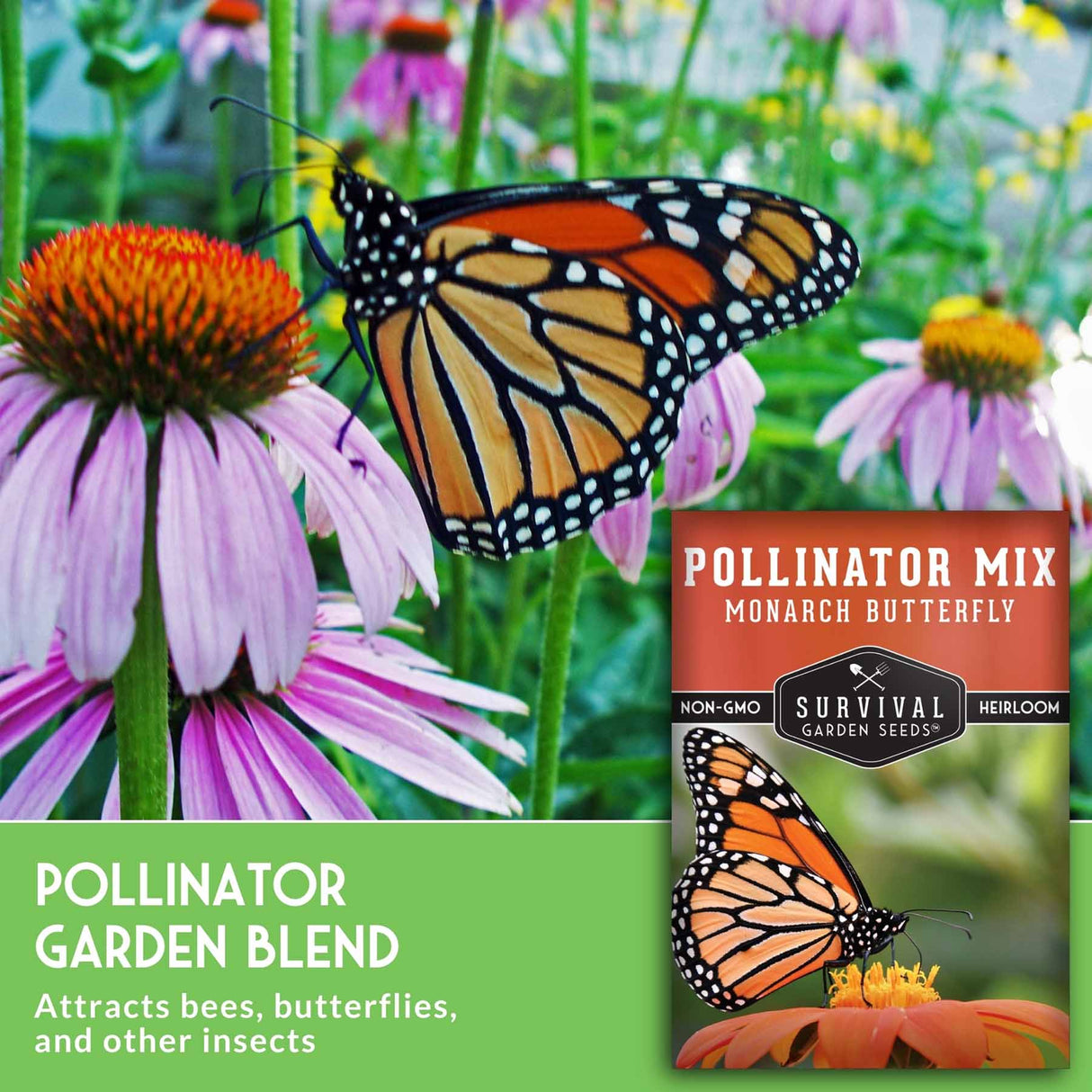 Butterfly on a flower with a seed packet labeled 'Pollinator Mix Monarch Butterfly' in the background.