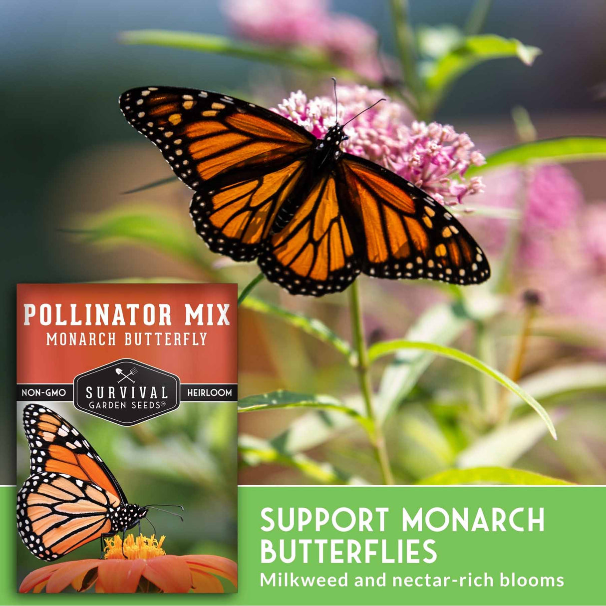 Monarch butterfly on a flower with 'Survival Garden Seeds' pollinator mix packaging.