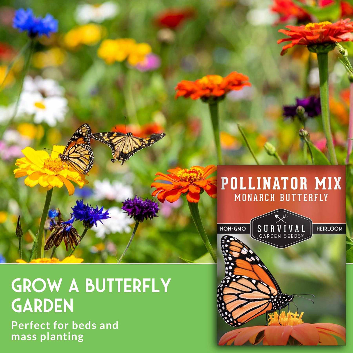 Garden with butterflies and a package of Survival Garden Seeds Pollinator Mix Monarch Butterfly seed packet.