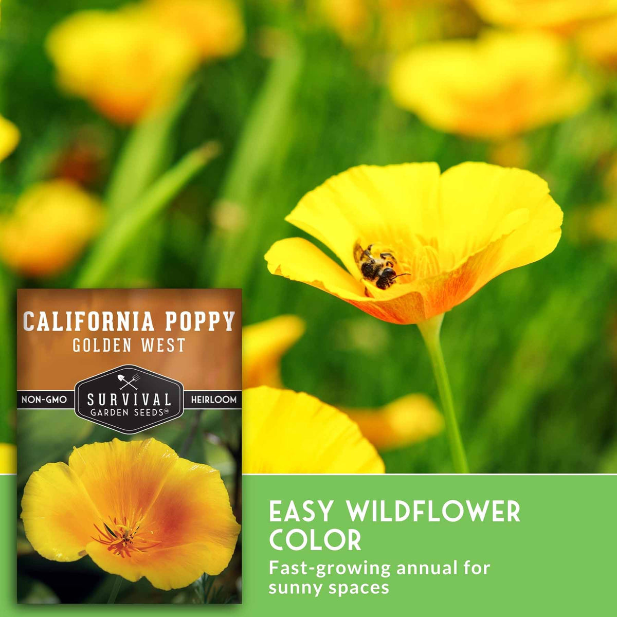 California poppy wildflower seeds by Survival Garden Seeds, featuring a bright yellow flower in a grassy field with a bee on the petal, alongside the product packaging and text reading 'Easy Wildflower Color' and 'Fast-growing annual for sunny spaces.'.