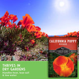 Promotional graphic for Survival Garden Seeds California Poppy Mikado seeds, featuring a field of blooming orange poppies under a blue sky, with a product box overlay and text stating 'Thrives in Dry Gardens'.