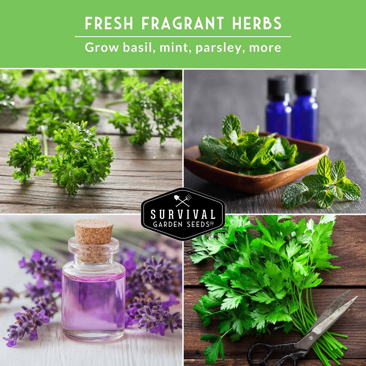 sprigs of parsley, mint and lavender