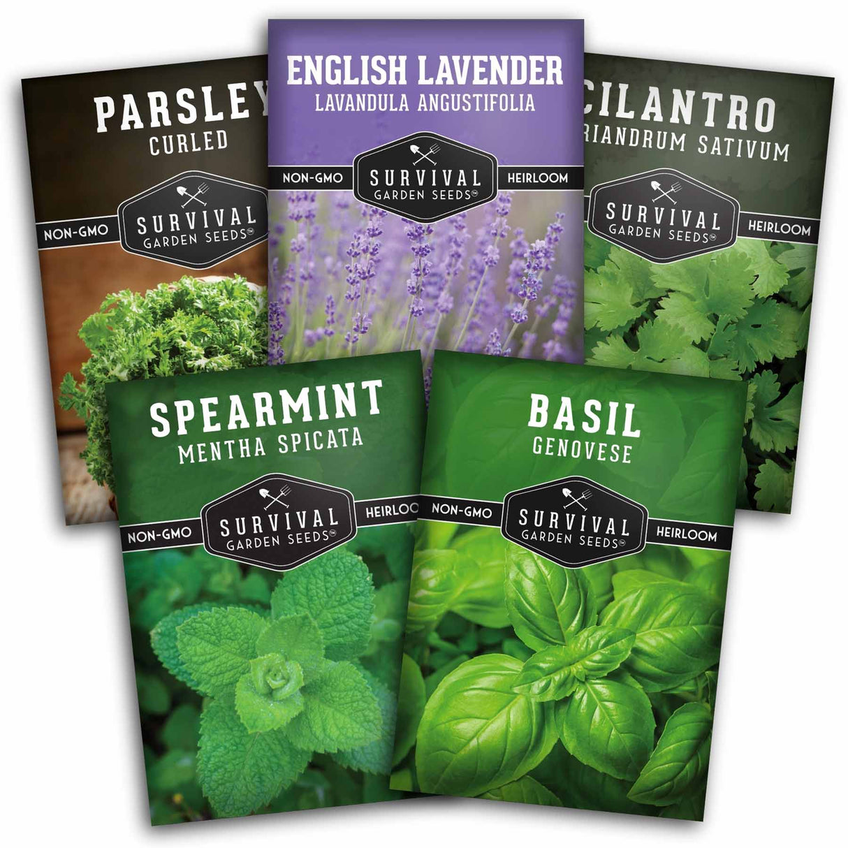 Five seed packet packages for Survival Garden Seeds are arranged in a fan-like layout. The packets include Parsley (curled), English Lavender, Cilantro, Spearmint, and Basil Genovese.