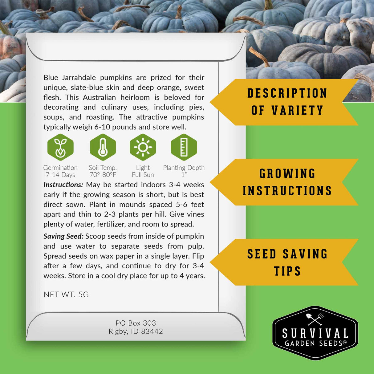 Survival Garden Seeds pumpkin seed packet with text and images of blue pumpkins.