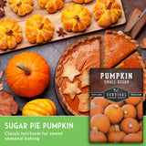Pumpkin pie with slices, pumpkins, and a package of Survival Garden Seeds pumpkin seeds on a wooden board.